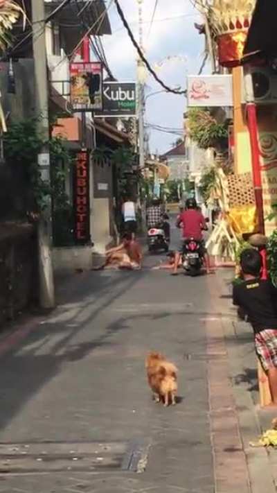 Sunbathing on a public road and refusing to budge