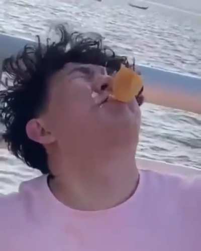 Man expects seagull to take the bread, gets something different