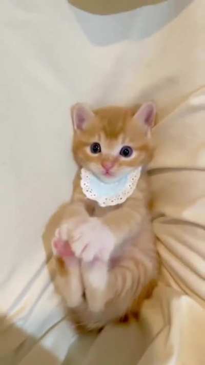 CATE