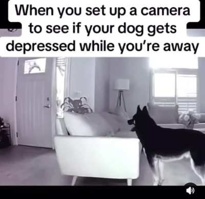 Maybe maybe maybe