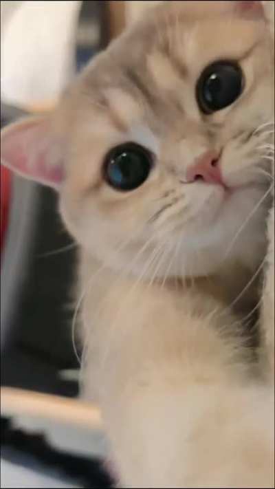 Am I cutie？😜