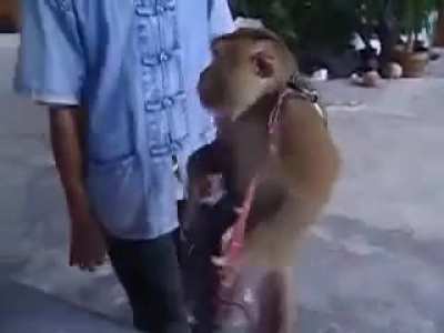 Monkey be playin' fire