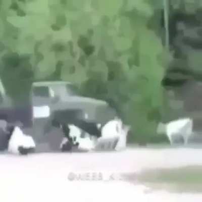 do u ever wanna fuck an anime bitch