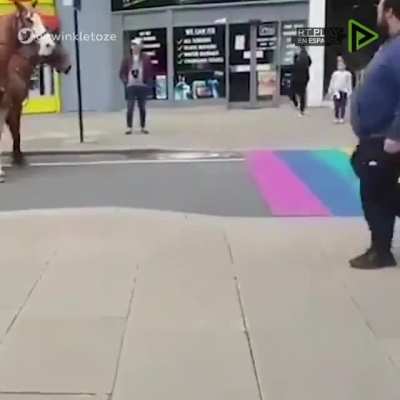 Essas cores assustam os cavalos, eles deveriam tirá-los