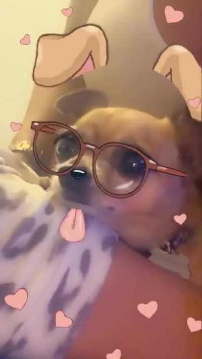 Puppies