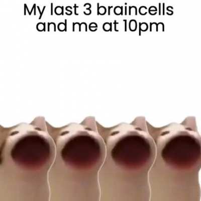 me_irl