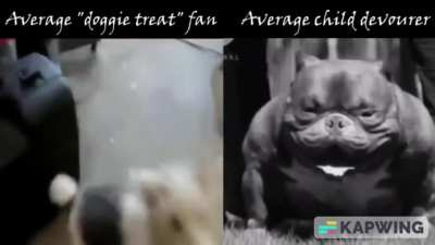 pitbull go brrr
