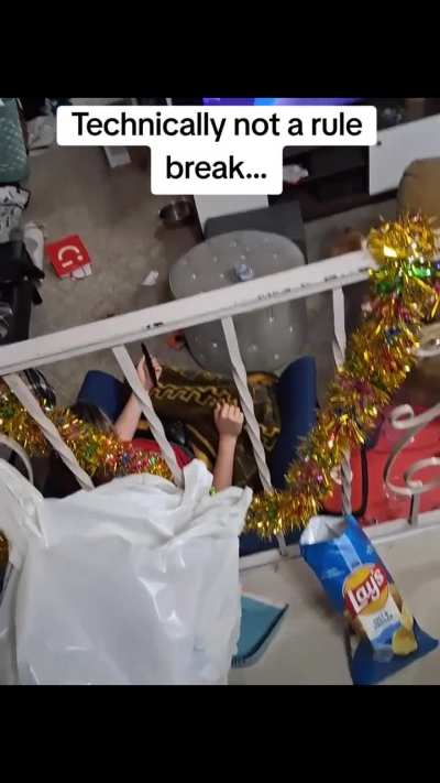 Kids got a future as a lawyer
