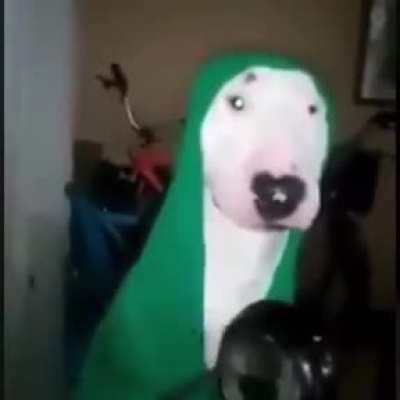 blursed_walter