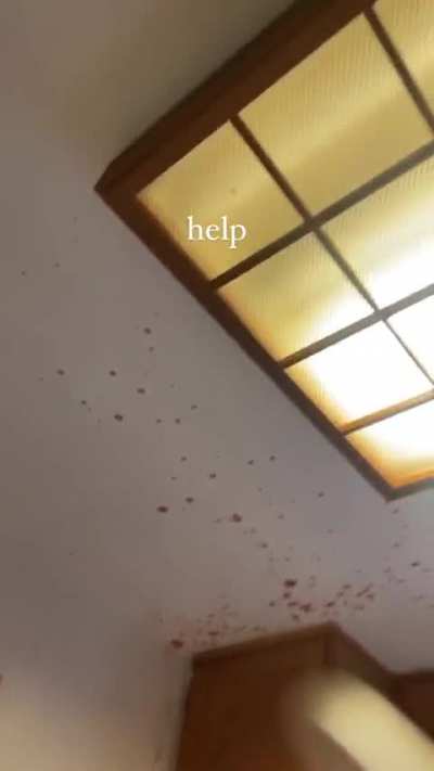 Oh no!