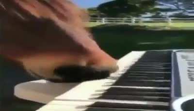 do i sound good i prsctice alot