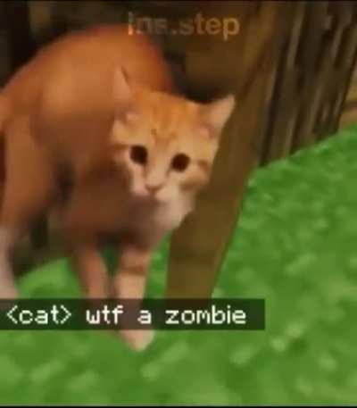 Cuidado um zombie