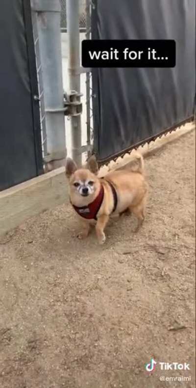 Wait for it