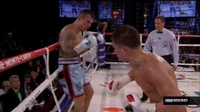 Golovkin's brutal body shot vs Martin Murray