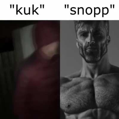 snopp