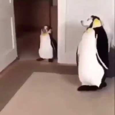 ._.