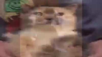 Eek!