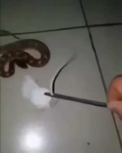 Aaaaa