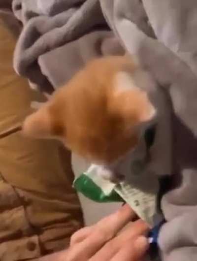 Treats…TREATS😡