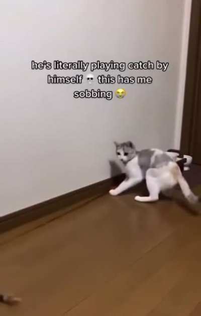Self Sufficient Cat!