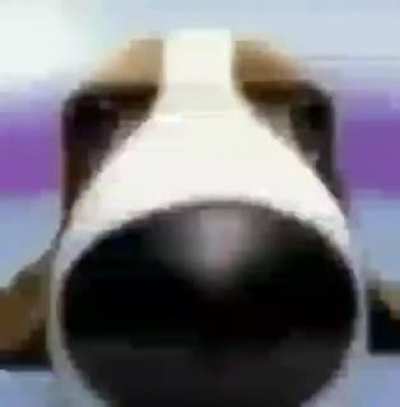 Bark