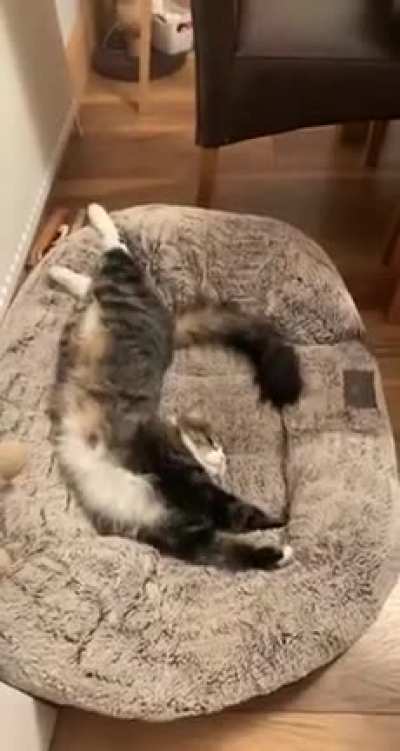 Get him out of my bed!