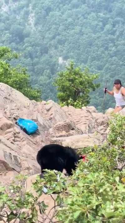 To have lunch