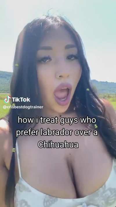 Facts @cris<wbr>bestd<wbr>ogtra<wbr>iner