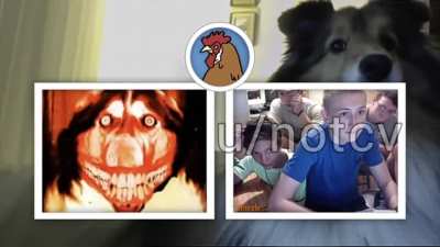 [Jumpscare warning] 