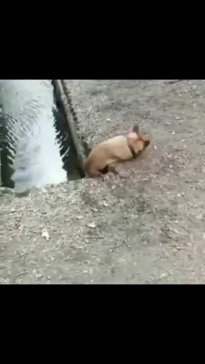 We all have that clumsy friend