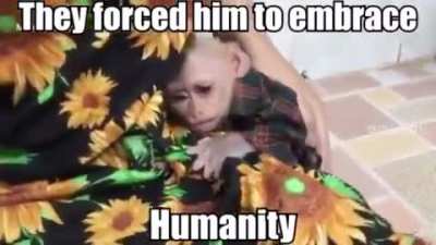 POOR MONKE😭😭😭