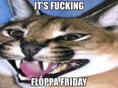 You know what day it is 😎
