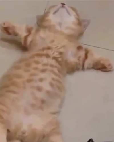 Наелся и спит