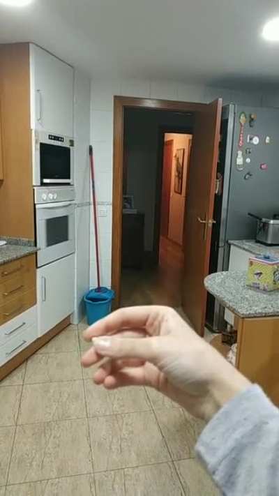 A parrot that appears quickly