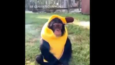 Espero que nadie se me haya adelantado