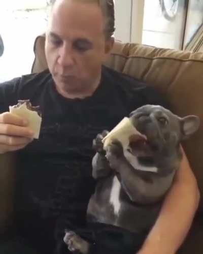 Burrito enjoyment is universal