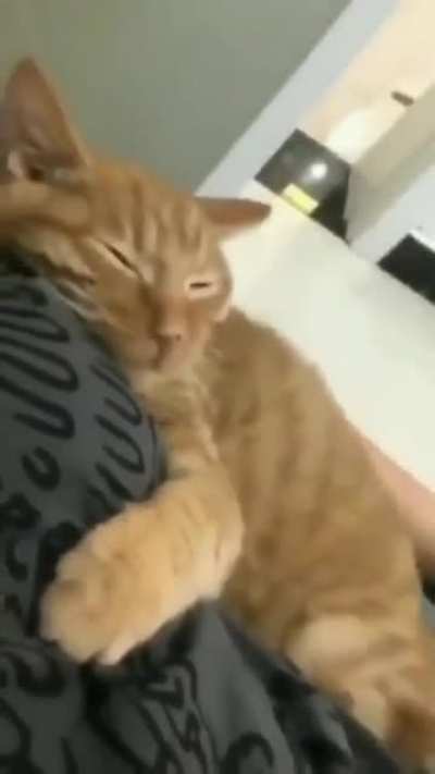 Cuddle time