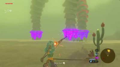 I didn’t see the cactus…