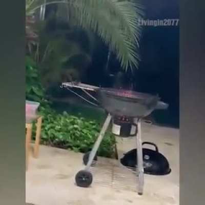 Almoço tá na mesa fml,sem escândalo ✌️🍃