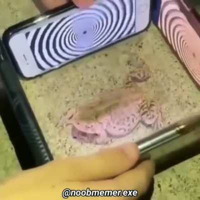 मेंढकों ko chheda matt karo, shraap de denge! 😥