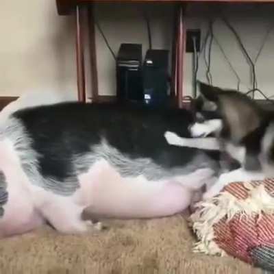 best friends🤣