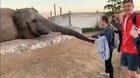 Don’t mess with big bro