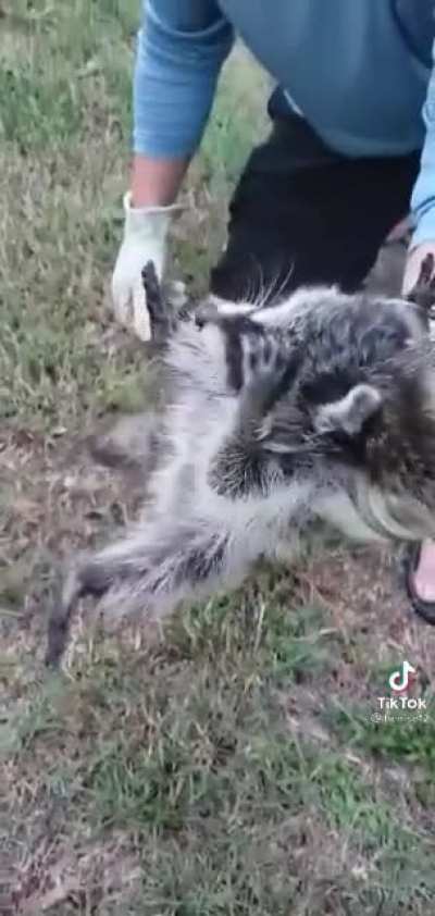 Poor lil guy