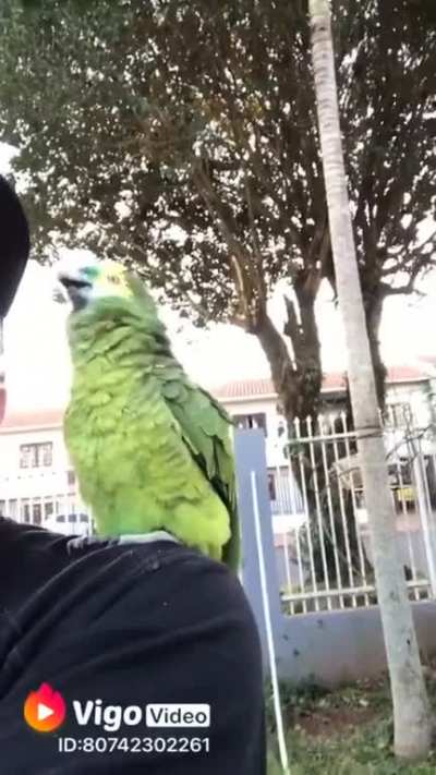 NÃO PODE!