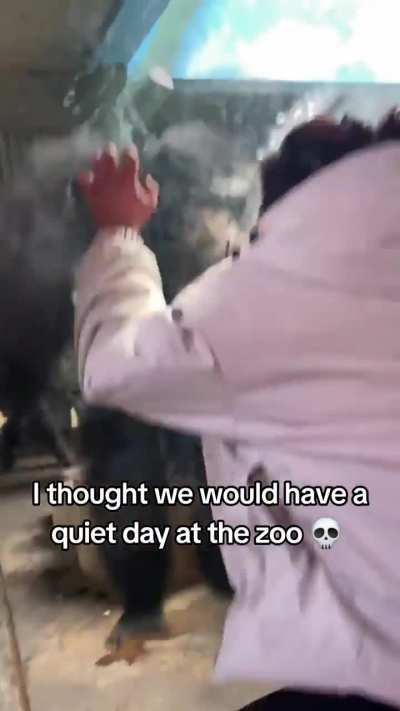 Don’t these animals suffer enough?