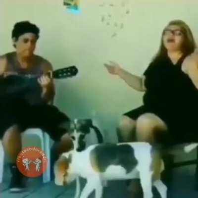 🐶 ❤️ 🐶