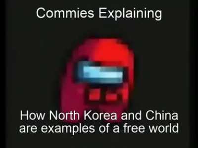 North Korea is ackually the least authoritarian country in the world!