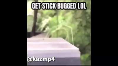 THAT'S A BUG!