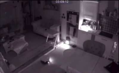 RoomBella-my robot people need me. RoomBob-I will carry you.