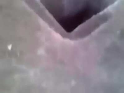 My hole people need me